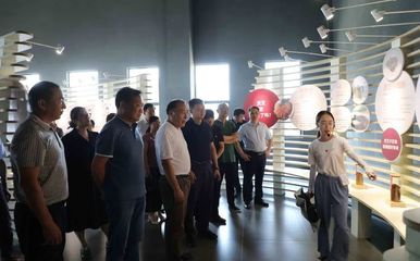 不忘初心跟党走，凝心共筑中国梦——广西科技的奋进与担当